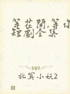 等花开,等你归短剧全集