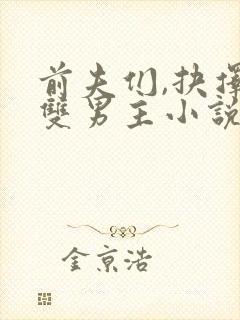 前夫们,抉择吧双男主小说