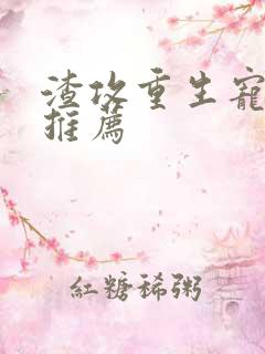 渣攻重生宠受文推荐