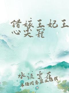 错嫁王妃王爷的心尖宠