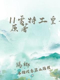 11处特工皇妃原著