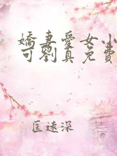 娇妻爱女小说小可刘真免费阅读