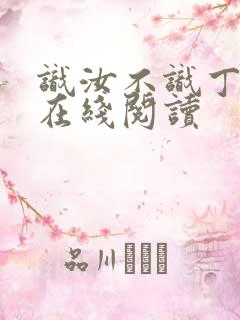 识汝不识丁小说在线阅读