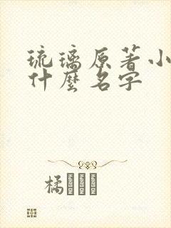 琉璃原著小说叫什么名字