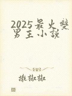 2025最火双男主小说