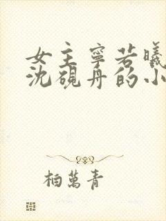 女主宁若曦男主沈砚舟的小说