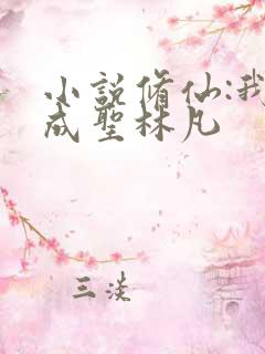 小说修仙:我欲成圣林凡