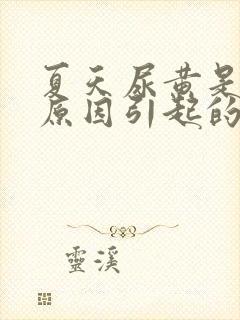 夏天尿黄是什么原因引起的