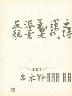 反派气运之子母亲竟是我侍女小说