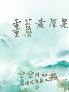 舌苔黄厚是湿气重么