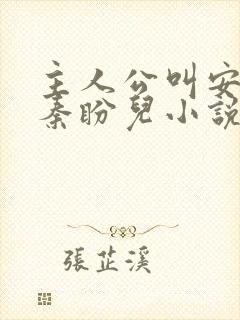 主人公叫安江,秦盼儿小说名字