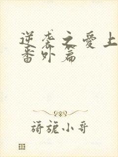 逆袭之爱上情敌番外篇