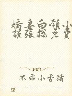 娇妻白领小慧小说张总免费阅读