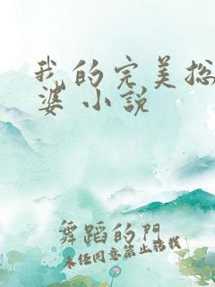 我的完美总裁老婆 小说