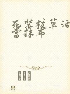 死装校草活该被当抹布