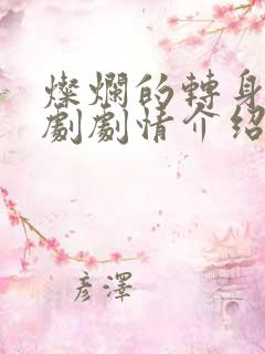 灿烂的转身电视剧剧情介绍分集