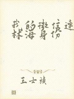 我的微信连三界林海身份