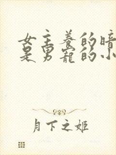 女主养的暗卫都是男宠的小说