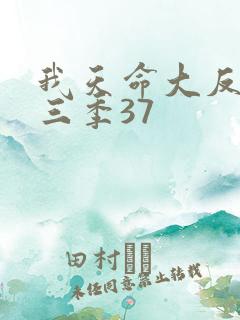 我天命大反派第三季37