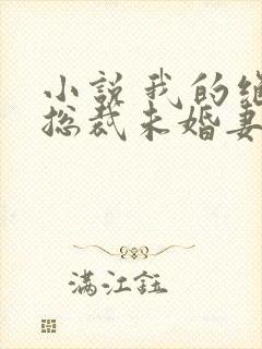 小说 我的绝色总裁未婚妻