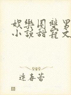 娱乐圈双男主的小说甜宠文推荐