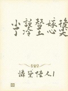 小说替嫁后我成了冷王心尖宠