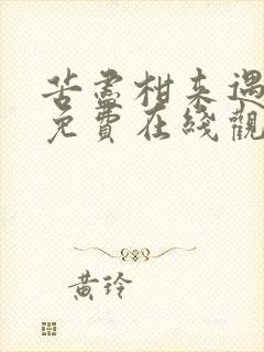 苦尽柑来遇见你免费在线观看