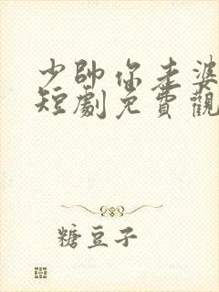 少帅你老婆跑了短剧免费观看