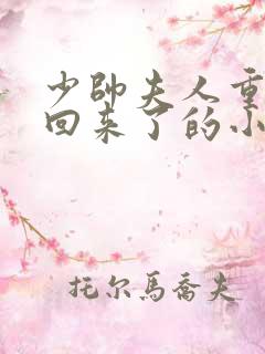 少帅夫人重生杀回来了的小说