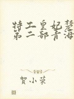 特工皇妃楚乔传第二部青海篇