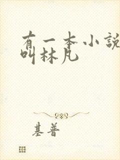 有一本小说主角叫林凡