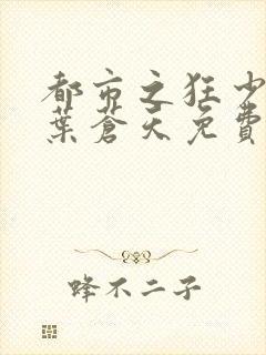 都市之狂少归来叶苍天免费阅读