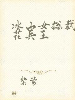 冰山女总裁的护花兵王