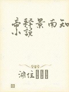 帝释景南知意的小说