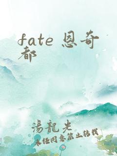 fate 恩奇都