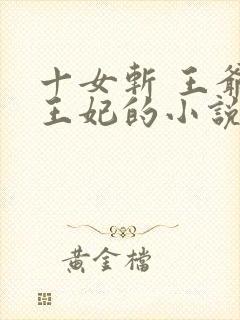 十女斩 王爷 王妃的小说