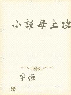 小说母上攻略