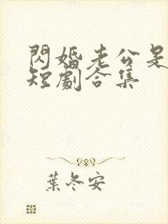 闪婚老公是豪门短剧合集