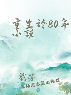 重生于80年代小说
