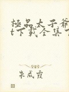 极品太子爷txt下载全集下载