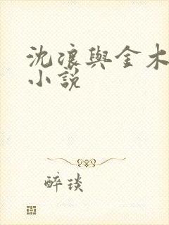 沈浪与金木兰的小说