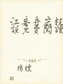 江妄舟宋枝雪小说免费阅读全文