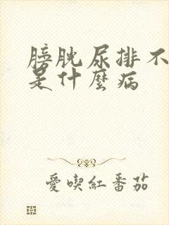 膀胱尿排不干净是什么病