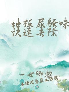 地板尿骚味怎么快速去除