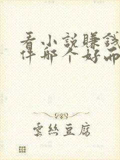 看小说赚钱的软件哪个好而且免费