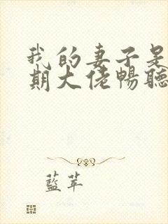 我的妻子是大乘期大佬畅听