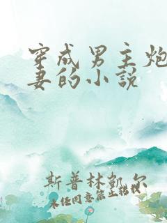 穿成男主炮灰前妻的小说