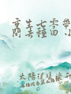 重生七零带着空间去种田 小说