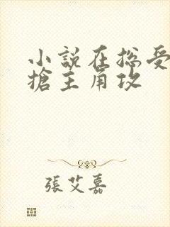 小说在总受文里抢主角攻