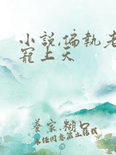 小说,偏执老公宠上天